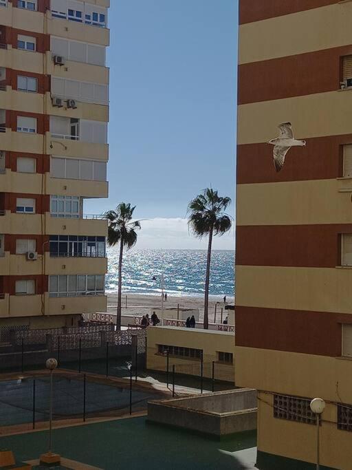 Alegrias De Cadiz By Gades Gestion Apartman Kültér fotó